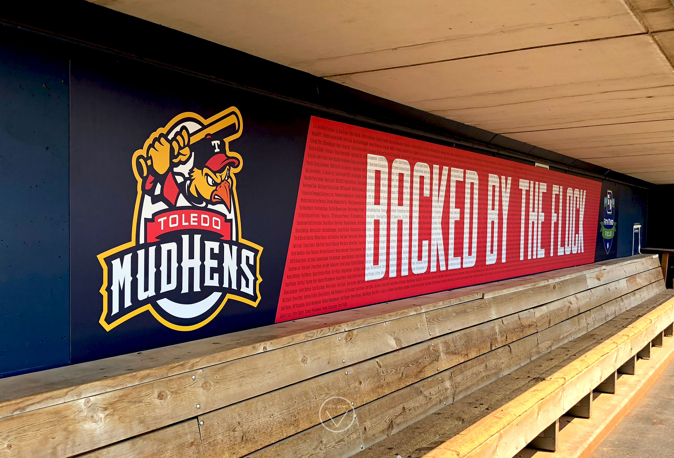 Toledo Mud Hens Dugout